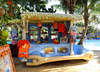 Melia Caribe Tropical 